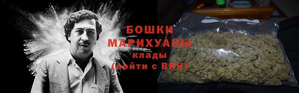 PSILOCYBIN Новозыбков