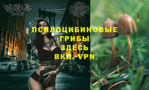 ALPHA PVP Новокубанск