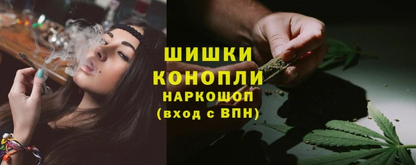 гидропоника Няндома