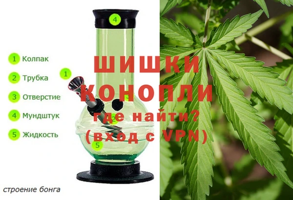 дмт Новодвинск