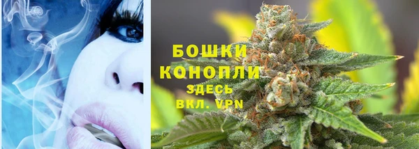 дживик Нягань