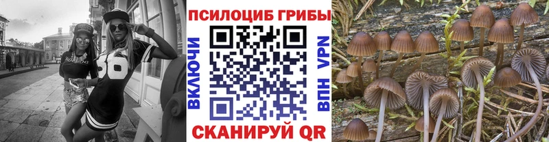 Псилоцибиновые грибы мицелий мега онион Москва закладки