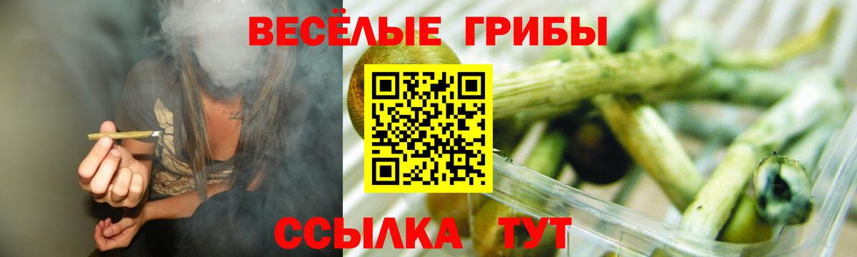 Москва  Галлюциногенные грибы мицелий  Вход с VPN 